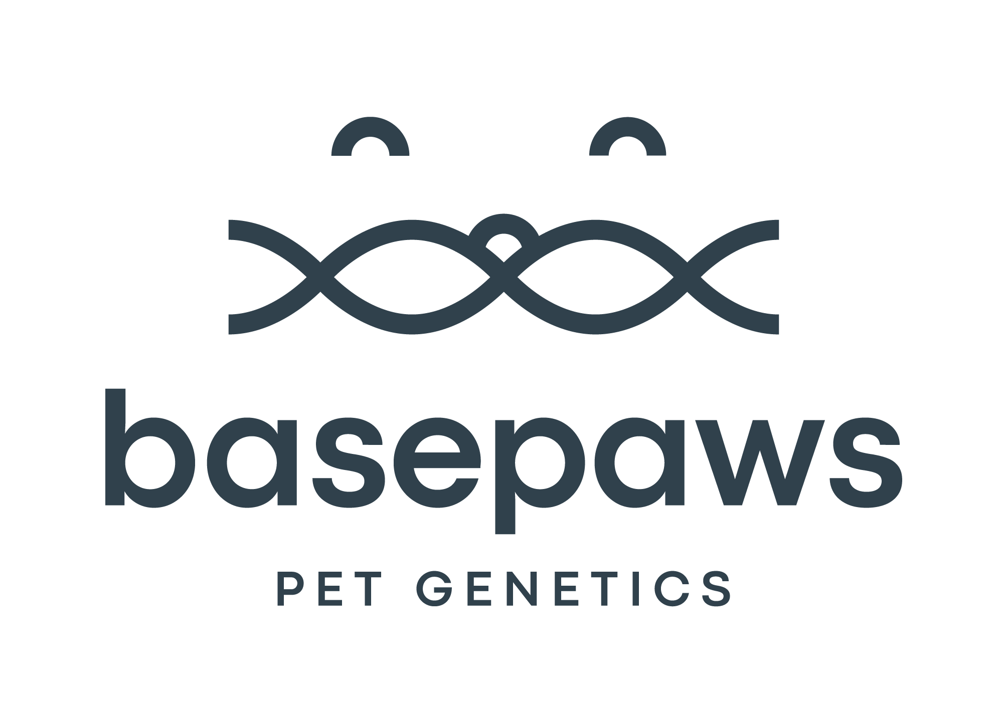 Basepaws Help Center logo